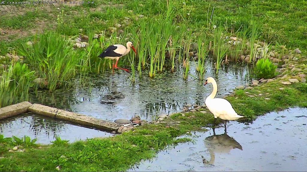 Agroturystyka Klekusiowo Boleslawiec  Bagian luar foto